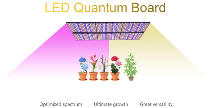 LED Quantum warmes weißes Growlights 480pcs Chips Lm 301b, der geführt wird, wachsen für Zimmerpflanze 0 hell