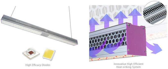 Gewächshaus LED wachsen die Lichter, die leistungsfähig sind und die leistungsfähige geführte Handelszimmerpflanze Ip65 wachsen 0