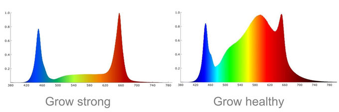 LED Quantum verschalt das volle Spektrum, das geführt wird, wachsen hell für die Zimmerpflanze-Vertikale, die 0 bewirtschaftet